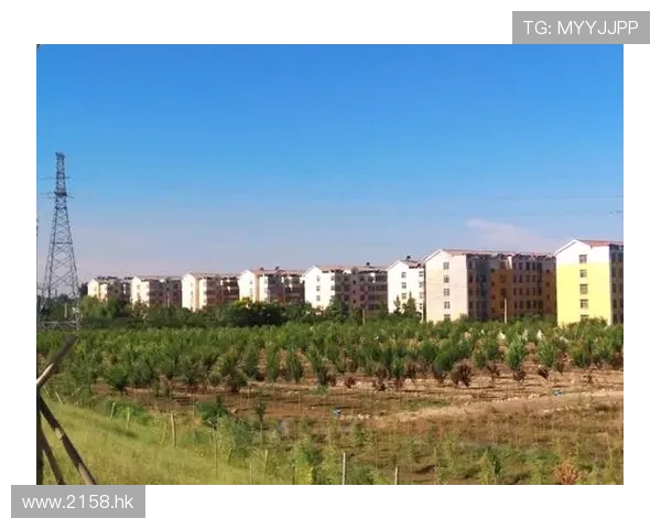 璀璨耀眼,逐梦前行——黄宝慧的闪耀人生